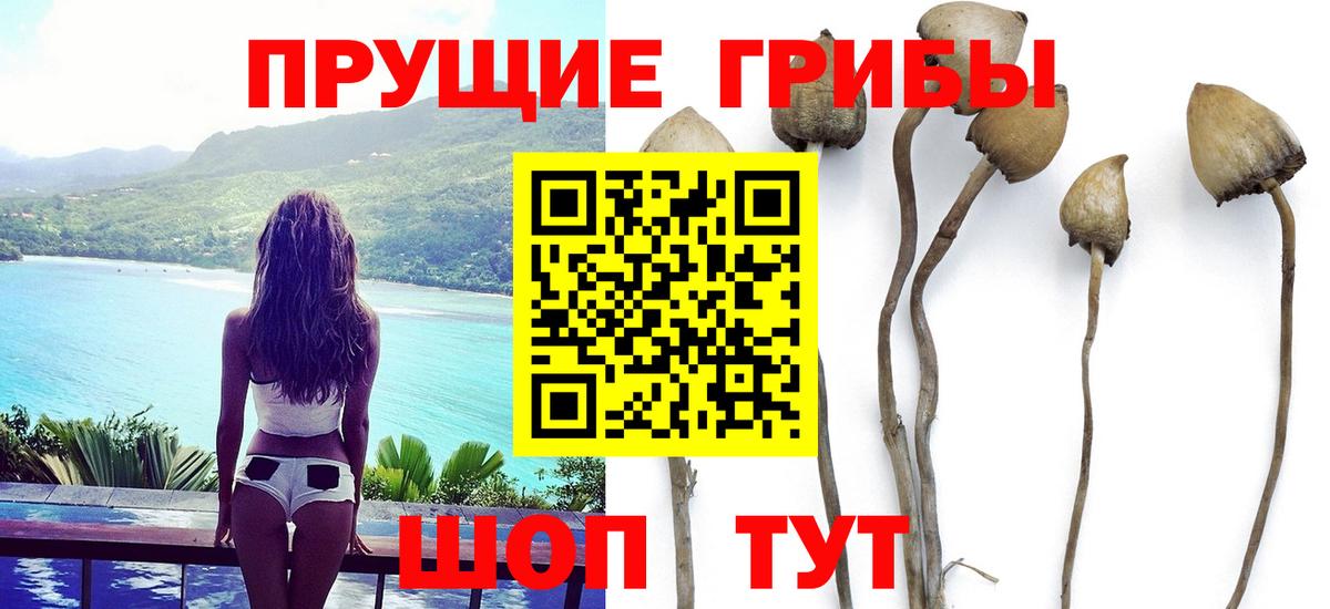 цена   Вход с VPN  Конаково  Псилоцибиновые грибы ЛСД 