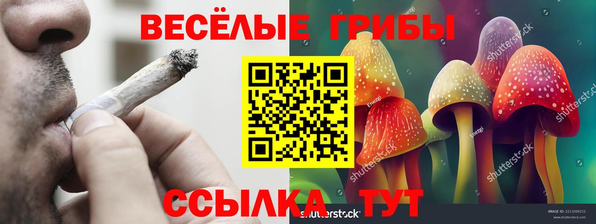 Галлюциногенные грибы MAGIC MUSHROOMS Конаково